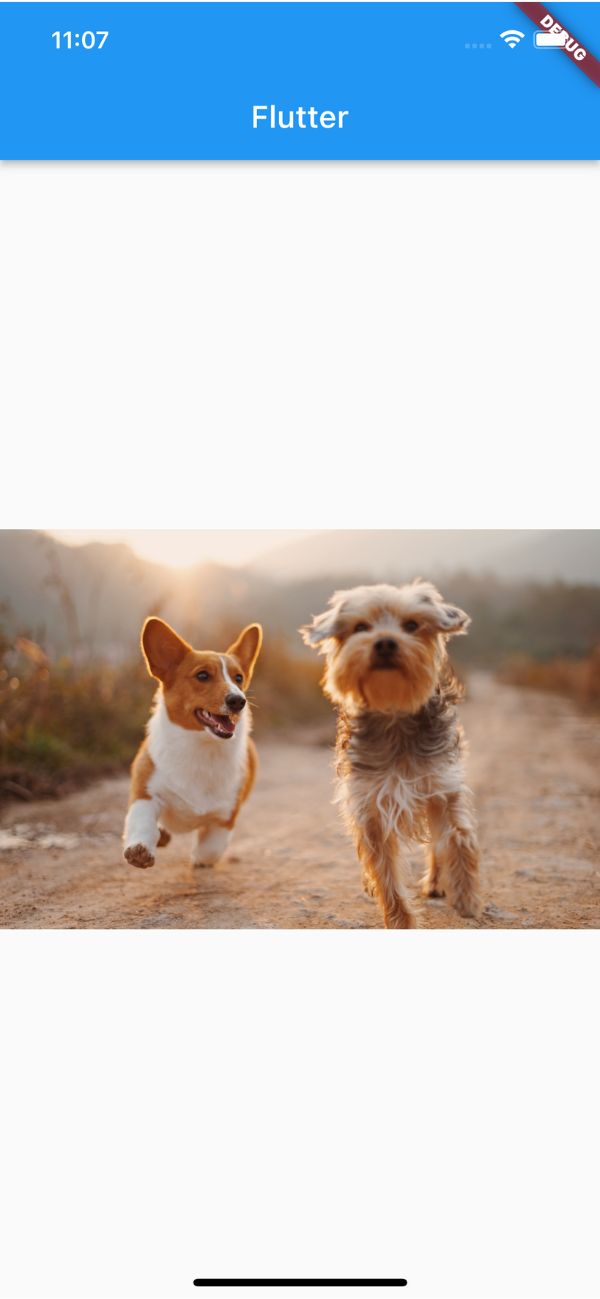 【Flutter】Imageでオンライン画像を表示させる